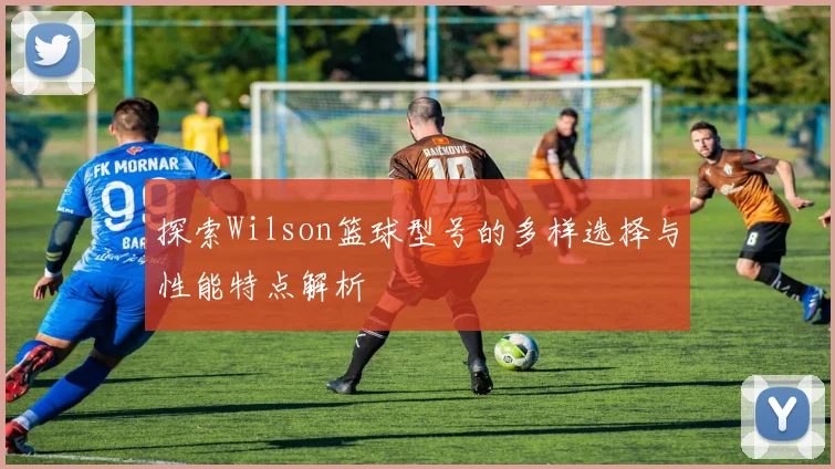 探索Wilson篮球型号的多样选择与性能特点解析