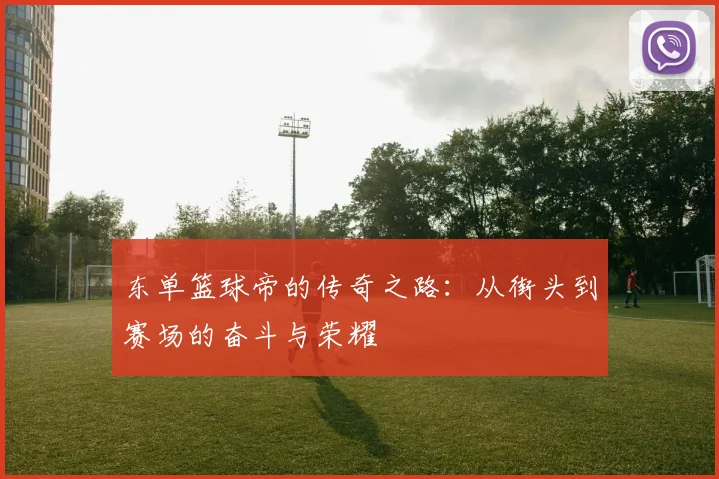 东单篮球帝的传奇之路：从街头到赛场的奋斗与荣耀