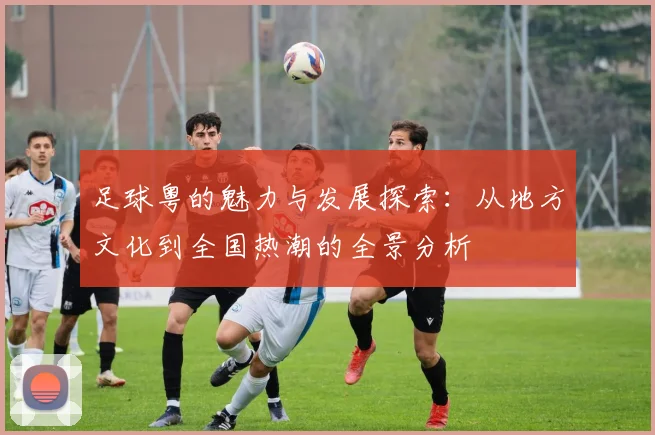 足球粤的魅力与发展探索：从地方文化到全国热潮的全景分析