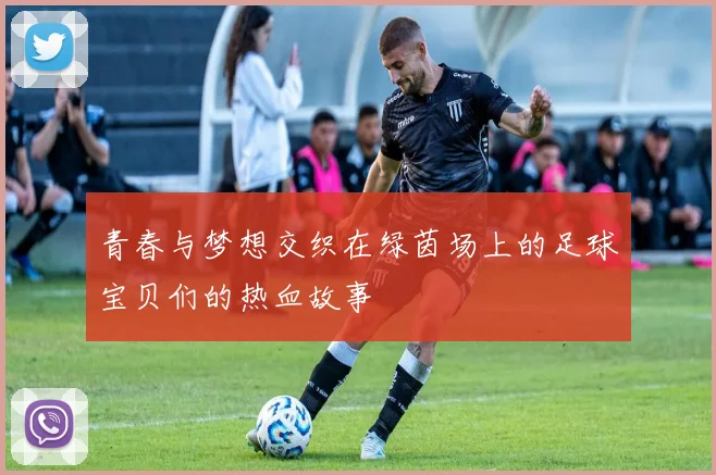 青春与梦想交织在绿茵场上的足球宝贝们的热血故事