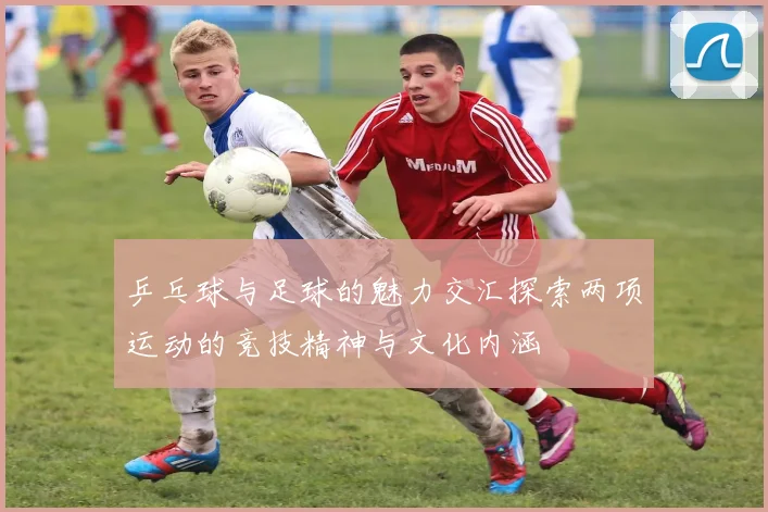 乒乓球与足球的魅力交汇探索两项运动的竞技精神与文化内涵