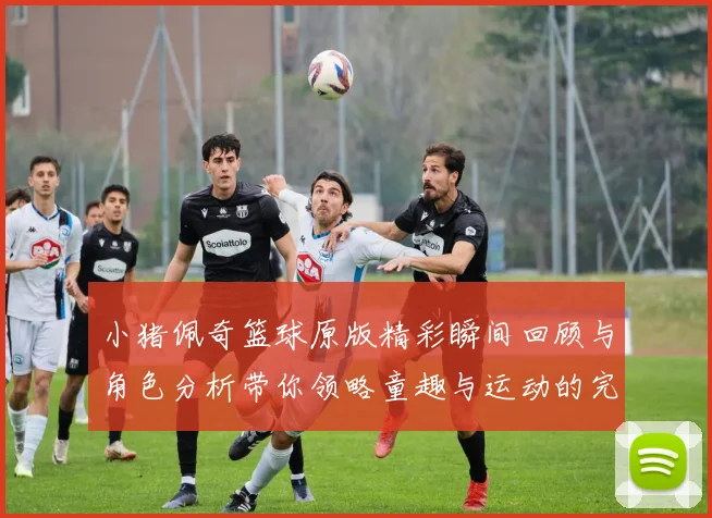 小猪佩奇篮球原版精彩瞬间回顾与角色分析带你领略童趣与运动的完美结合