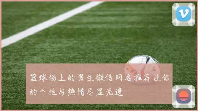 篮球场上的男生微信网名推荐让你的个性与热情尽显无遗