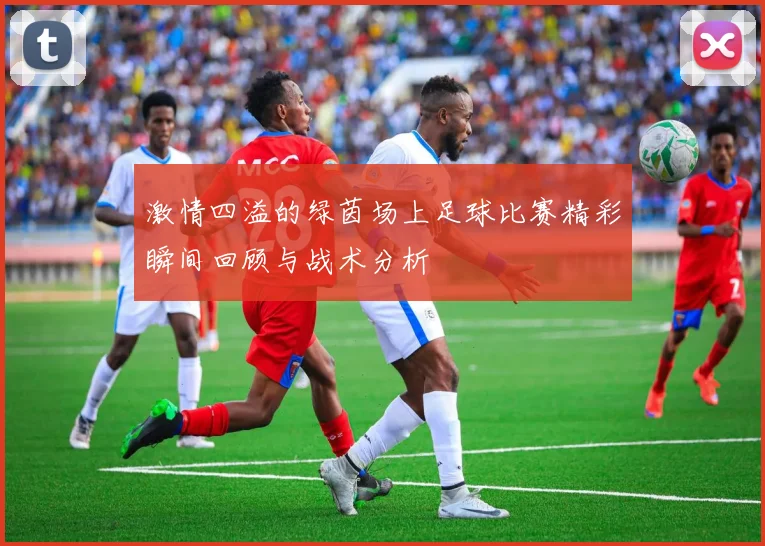 激情四溢的绿茵场上足球比赛精彩瞬间回顾与战术分析