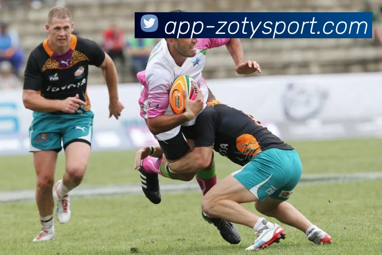 中欧体育平台生态图